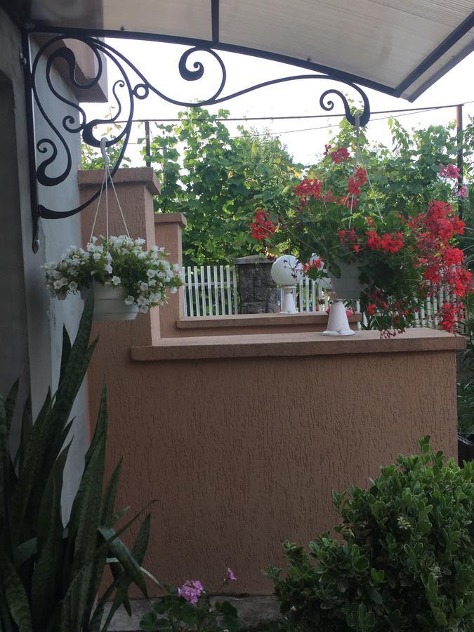 Appartamento Private House Berehove  Esterno foto